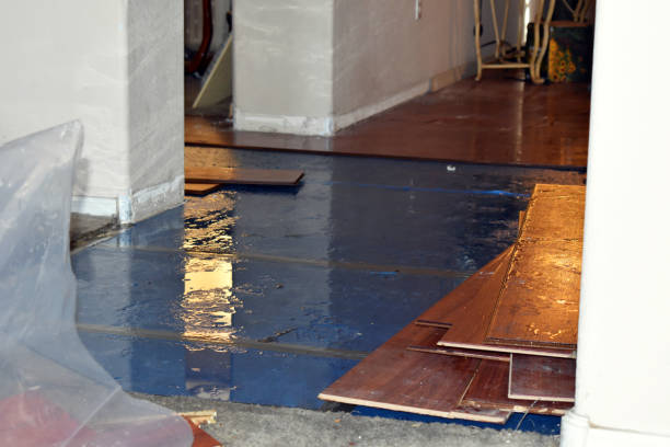 Professional Sewage Cleanup technician working in Slayden, TN